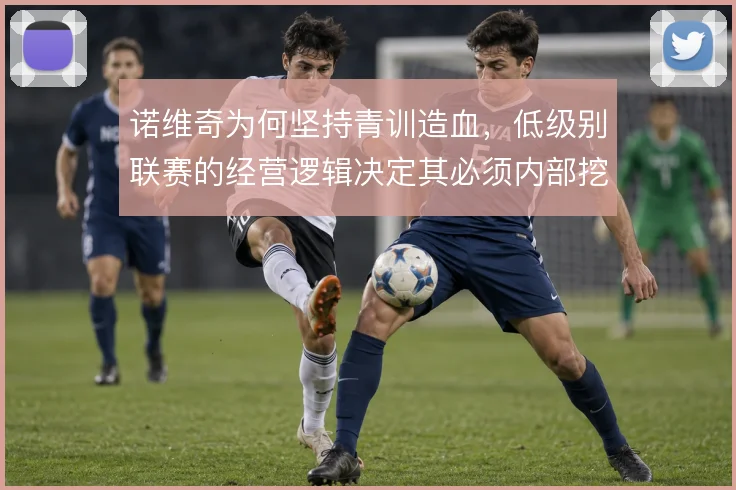 诺维奇为何坚持青训造血，低级别联赛的经营逻辑决定其必须内部挖潜